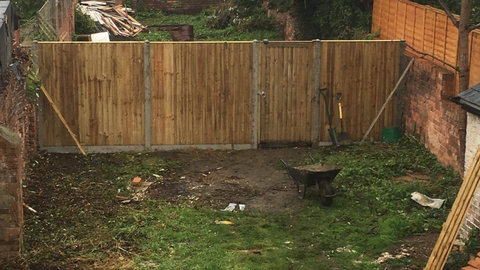 Removal of overgrown plants & trees