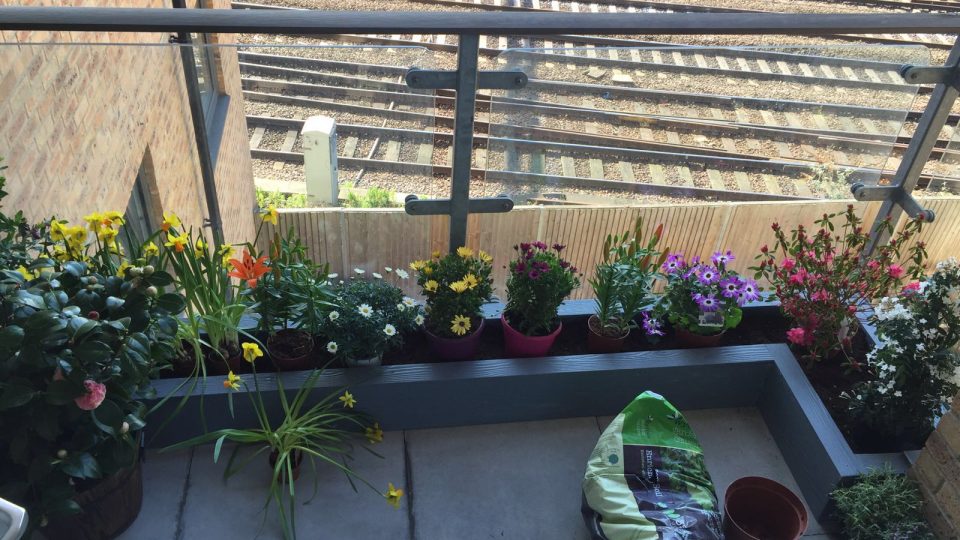 Completed flower bed