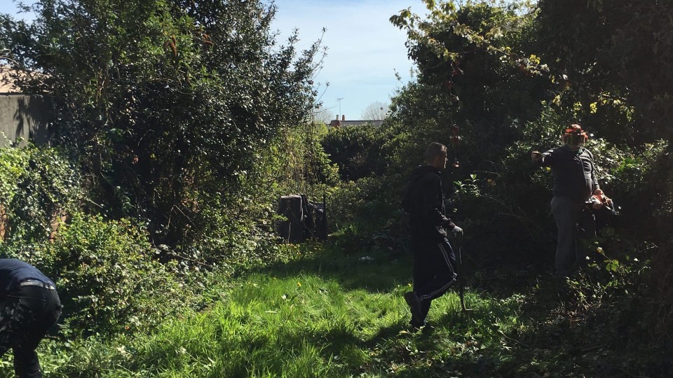 Garden before landscaping