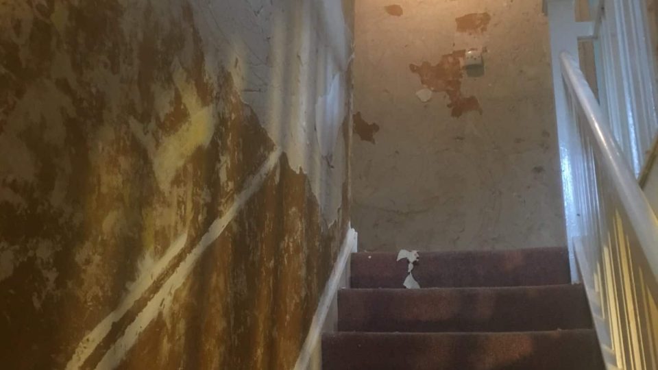 preparing walls & ceiling