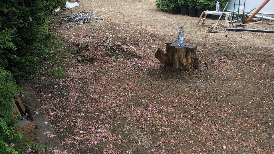 Preparation of new lawn